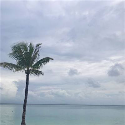 屠龙霸业内购破解版下载